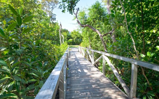 Grounds-Bridge-1